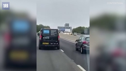 Duck flies 60mph on the motorway as passing van films | Daily Mail Online
