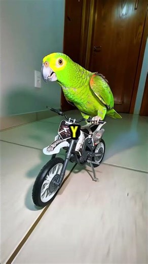 Situaciones Inexplicables de Motociclistas