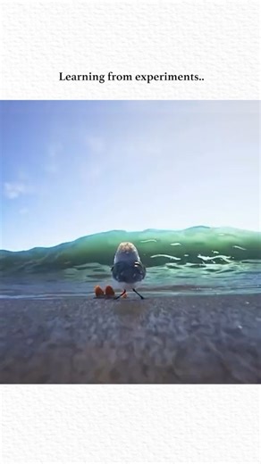 Clip Verse on Instagram: "🎬 Movie: Piper (2016) ⭐ Genre: Family | Adventure | Animation (Short Film) ⏱️ Runtime: 6 minutes 📚 Storyline: Piper is a stunning Pixar short film that follows a hungry baby sandpiper learning to overcome her fear of the ocean waves. With the help of an unexpected little friend, she discovers a new perspective on the shoreline and gains the confidence she needs to survive. Beautifully animated and emotionally uplifting, Piper is a simple yet powerful story about coura