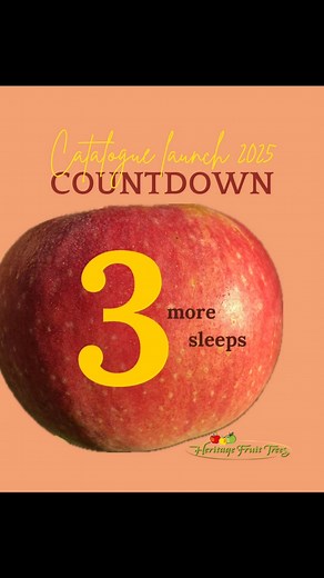 Only 3 sleeps until we launch our 2025 catalogue! Quality fruit trees and ornamental plants. Order for winter delivery as bare-rooted trees or choose to pick them up from the farm after they have been lifted from the field and prepared. The website will be going down for maintenance soon so use the ‘notify me’ button on products you want to be notified about when in stock. More products and stock will be added over the season. More details on our website https://www.heritagefruittrees.com.au/ #H