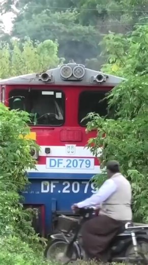 Tren arribando entre la maleza a la estación Pyin Oo Lwin - #Myanmar #railwayindustry #railway #railwayfamily #railwaytechnology #train #publictransport #Ferrocarrileros | Ferrocarrileros