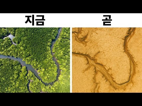 하나의 거대한 사막으로 변하고 있는 미국의 한 지역