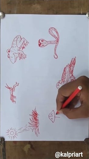 Food Chain Drawing || Food Chain Diagram