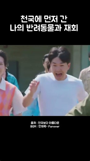 천국에 먼저 간 나의 반려동물과 재회...