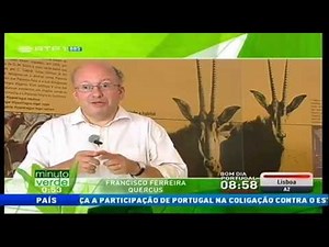 Palanca Negra: "Minuto Verde"