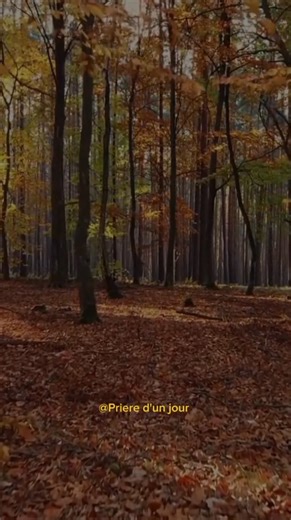 Prière pour la protection ☑️☑️☑️ | Prière d'un Jour