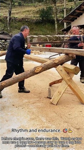 Sawing Logs by Hand – Old-School Skill