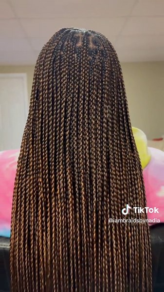 Stunning Knotless Box Braids in Color 30 | Hair Tutorial