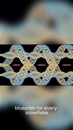 The Physics of Snowflake Symmetry ❄️🧬#sciencefacts #winterfacts #sagerfacts