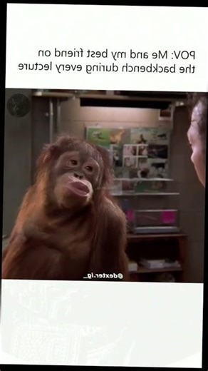 Hilarious Transformation #comedy #mustwatch