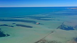 646K views · 14K reactions | 勞     YOU'VE GOTTA TUNE IN TONIGHT TO SEE THESE GEMS OF THE SEA AND WHAT ROD & JC GET UP TO     勞 Episode 2 of all-new Season 2 of Opal Hunters: Red Dirt Road Trip ⚒  is on Discovery Channel Australia TONIGHT at 7:30pm!!  #reddirtroadtrip #prosperoproductions #opalhunters @thebushmenoutbackopals Prospero Productions | Outback Opal Hunters | Facebook