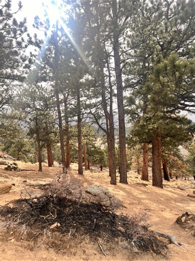 Discovering Colorado After Growing Up in Nebraska