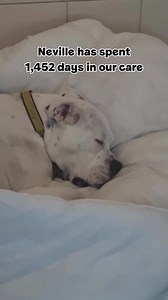 333K views · 15K reactions | We have some BIG news about fan...