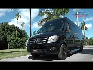 13 Passenger executive Sprinter [VIP LUXURY CAR Service Experience]