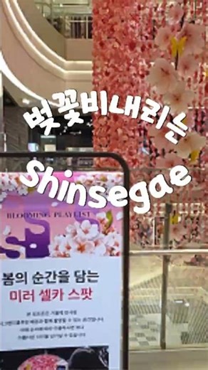 대구에 벚꽃폭포 등장🌸 신세계 봄명소(Cherry Blossom Waterfall in Daegu 🌸)