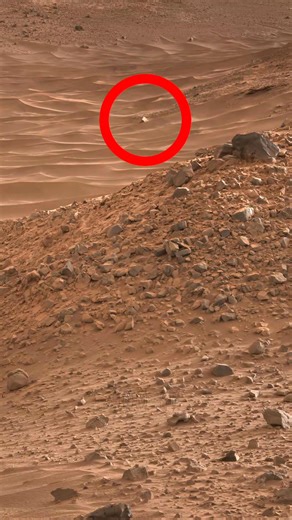Som ET - 82 - Mars - Curiosity Sol 703 - 2 This image was taken by MAST_RIGHT onboard NASA's Mars rover Curiosity on Sol 703 (2014-07-29). NASA Image: https://mars.nasa.gov/msl-raw-images/msss/00703/mcam/0703MR0029770280402315E01_DXXX.jpg Audio: Som ET - 82 - Mars Credit: NASA/JPL-Caltech/MSSS #mars #nasa | Som ET