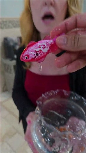 I saved my gold fish from death