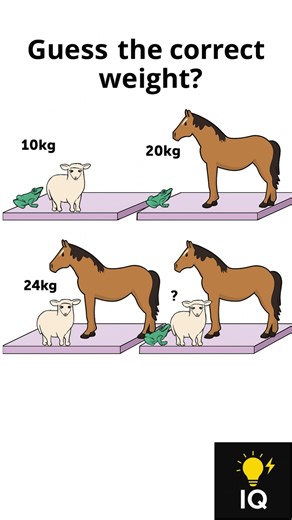 Can You Solve This Animal Weight Puzzle? 🧠 #shorts #shortsfeed