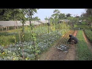 Organic Farming along the Mighty Mekong