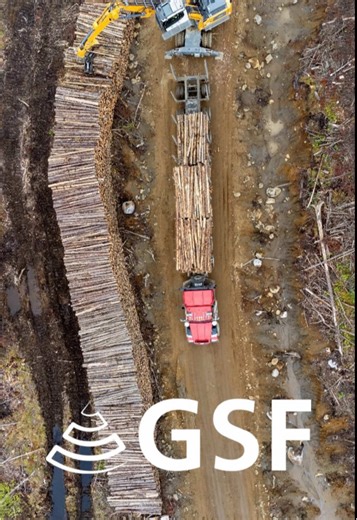 Let us guide you in you forestry operations #gsflog #forestry #machinery #gsf