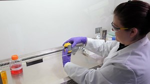 A New Portable In Vitro Exposure Cassette for Aerosol Sampling