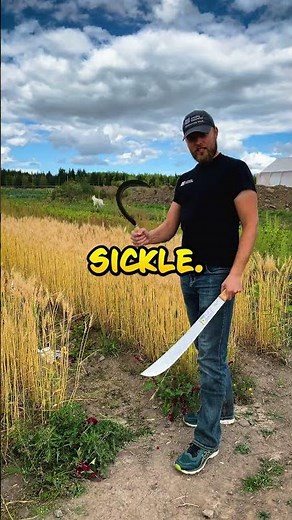 Farming's Dynamic Duo: The Mighty Machete and Versatile Sickle!