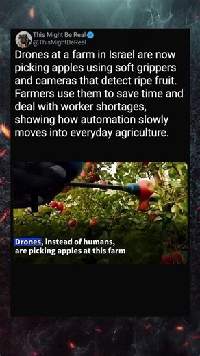 Drones Harvest Apples on a Farm