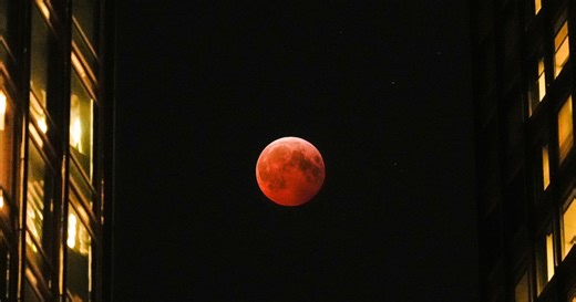 Blood Moon a special treat overnight for those who had their eyes on the sky