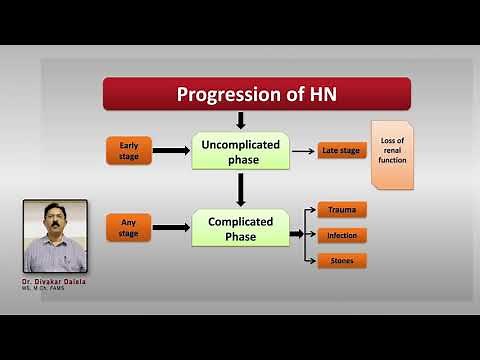 PUJ Obstruction Why some kidneys lose function and not all