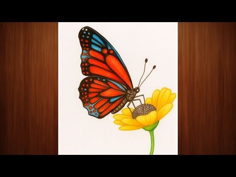 How to Draw Butterfly on Flower | Easy Color Pencil Drawing