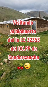 Biohuerto escolar bajo fitotoldo, en la I.E 32353 del CC.PP de Condorcancha, distrito de Baños, Lauricocha, Huánuco 🇵🇪🍒😉💪🧑‍🌾 #soyandino #biohuerto #fitotoldo #educación PD. Donde nos toca estar, siempre aportaremos valor😉 | La vida en los Andes - Perú