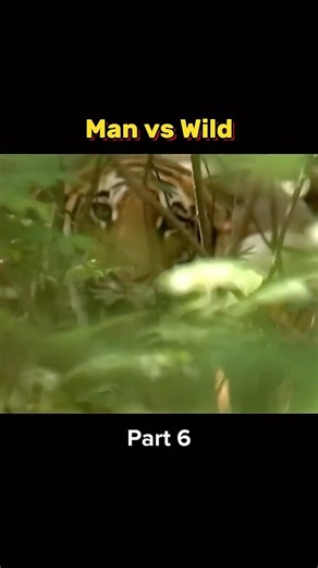 Man vs Wild in Jungle 🥶 #shorts #manvswildinhindi #comedy #trending