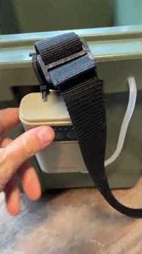 Perfect livewell setup