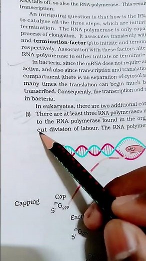 biology class 12th|| Molecular basis of Inheritance#