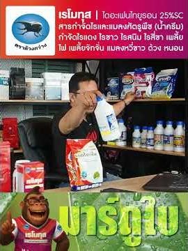 แมลงหวี่ขาว | แนะนำ #เรโมทุส 20 ซีซี