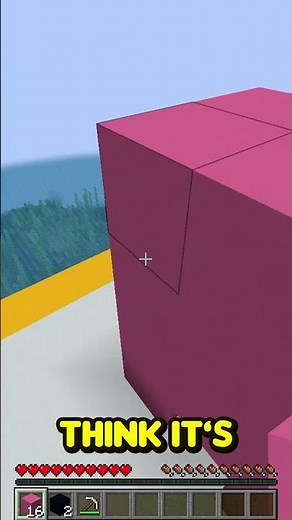 Minecraft BLIND BUILD Challenge!