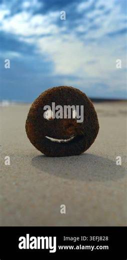Smiley face sponge standing on sandy beach in New York. Close up of a porous round object with a carved smiley face on sand under a cloudy sky at the Atlantic coast Stock Video Footage - Alamy