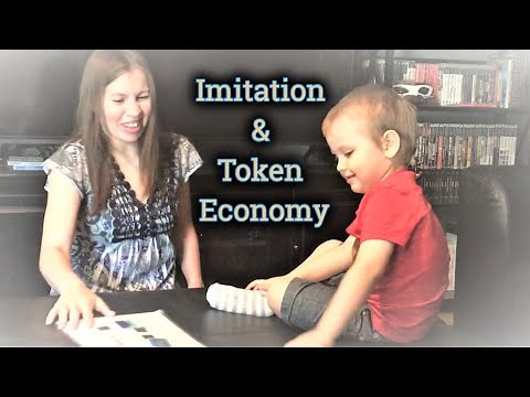 Discrete Trial: Imitation and Token Economy