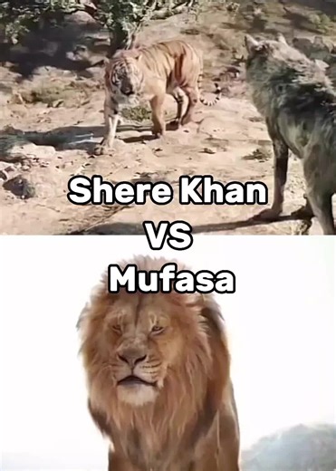 Shere Khan VS Mufasa: Epic Fight Scene Showdown Revealed!