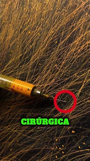 A REALISTIC MASTERPIECE!? 😱 #curiosities #shorts