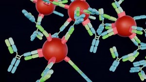 clip-3569953651-3d-animation-antigen-antibody-complexes-known-immune-molecular