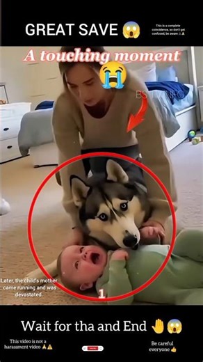 The dog should act respectfully 😱👍 #music #respect #humanity #kindness #foryou