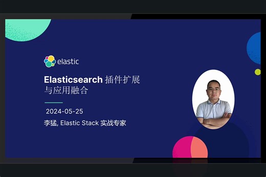 Elasticsearch 插件扩展与应用融合