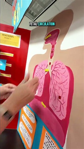Inside a Respiratory Therapy Class at Our Mesa Campus 🫁