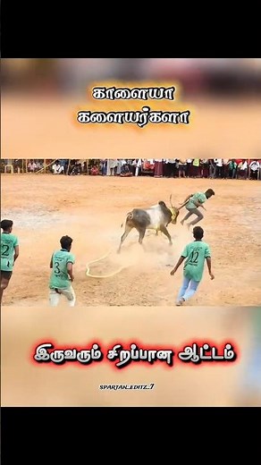 😱💥😈#jallikattu #jallikattukalai #manjuvirattu #manjuvirattu #vadamanjuvirattu #vuralshort #jallikatu