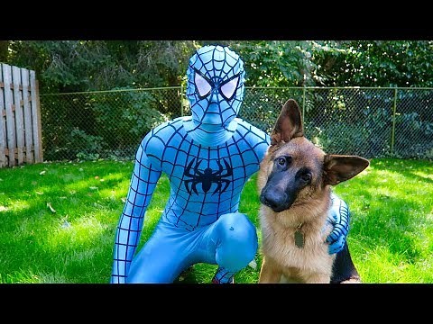 Blue Spiderman Saves Sniper From Hulk