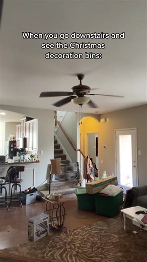 Indoor Living Room Christmas Decoration Setup