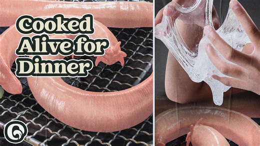 Hagfish Cuisine Fact or Fear Factor