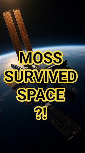 Space Moss That Refused to Die — Scientists Shocked! 🌱🚀😱