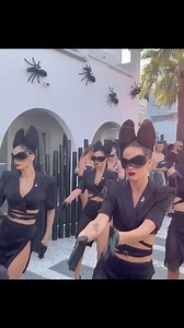 1.3M views · 9.2K reactions |  The UNITED ANTS colony is back to the...